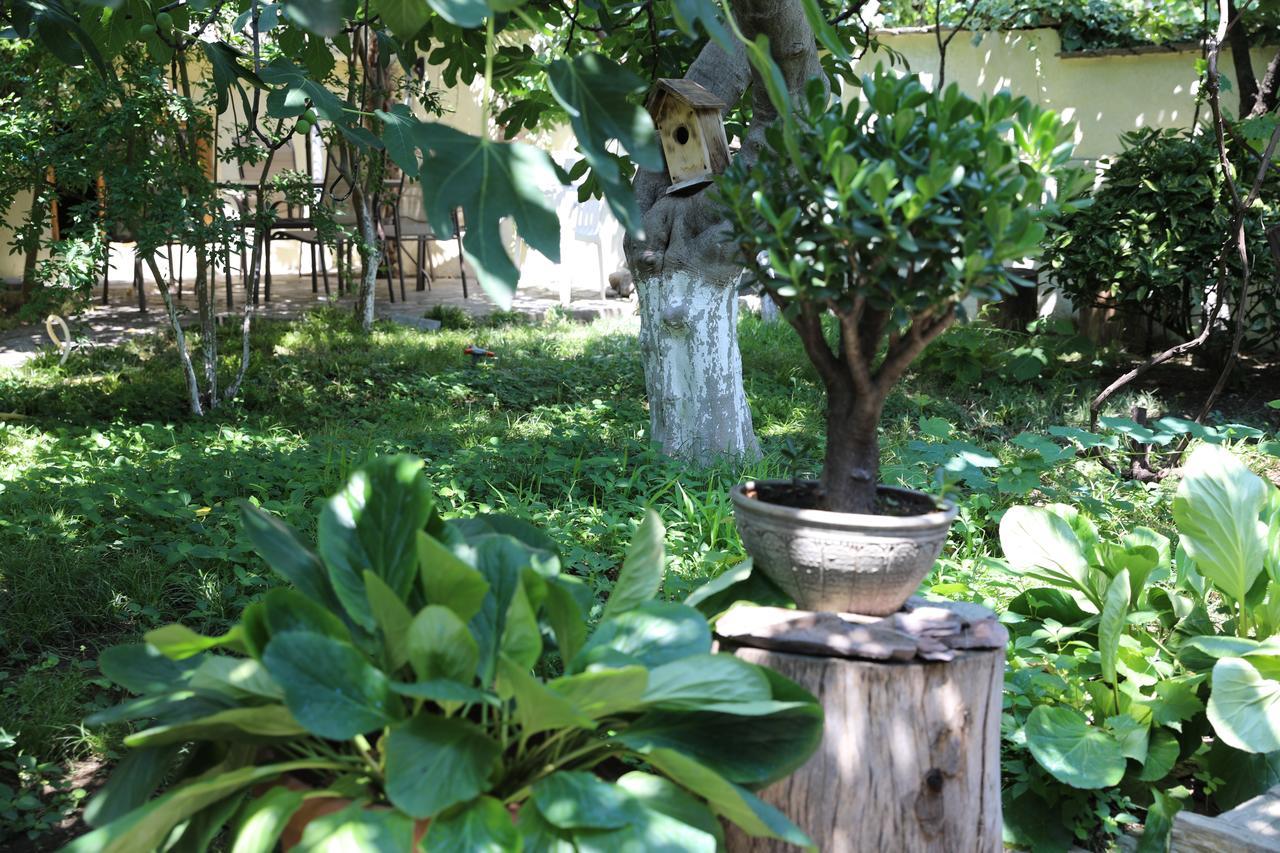 4Bd Appartaments With Cozy Garden Tbilisi Luaran gambar